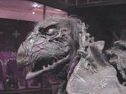 180px-Img_skeksis.jpg