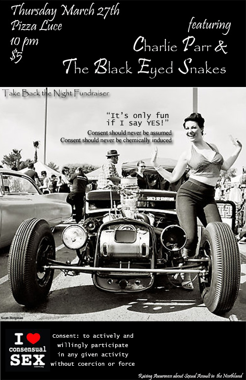 Concert Poster for PDD copy.jpg