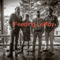 Feeding LeRoy - Love is a Gamble