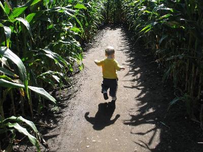 corn maze kid.jpg