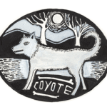 Coyote + The Floorbirds 