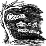 Coyote - When it all comes down