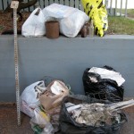 Skyline Drive Litterbugs:  Please Keep Your Trash Out of My Backyard