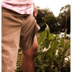 Knee High By The…..