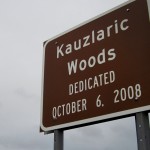 Kauzlaric Woods: Where in Duluth?