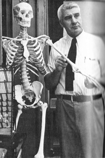 Mr. Nordling instructs the class on where the humerus can be found
