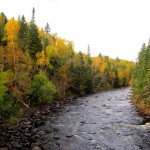 Fall Colors on the Brule River at Judge C. R. Magney State Park