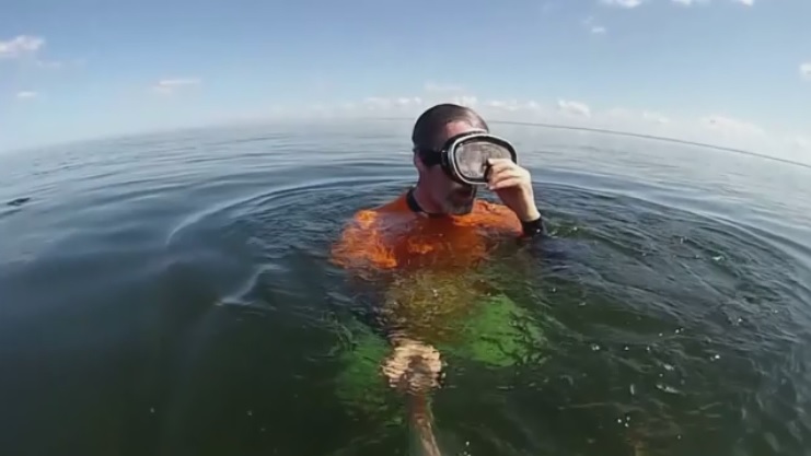 Stalked by a Loon? - Perfect Duluth Day