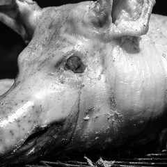 "The Pig" by Zach Kerola