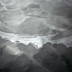 Shawn Thompson