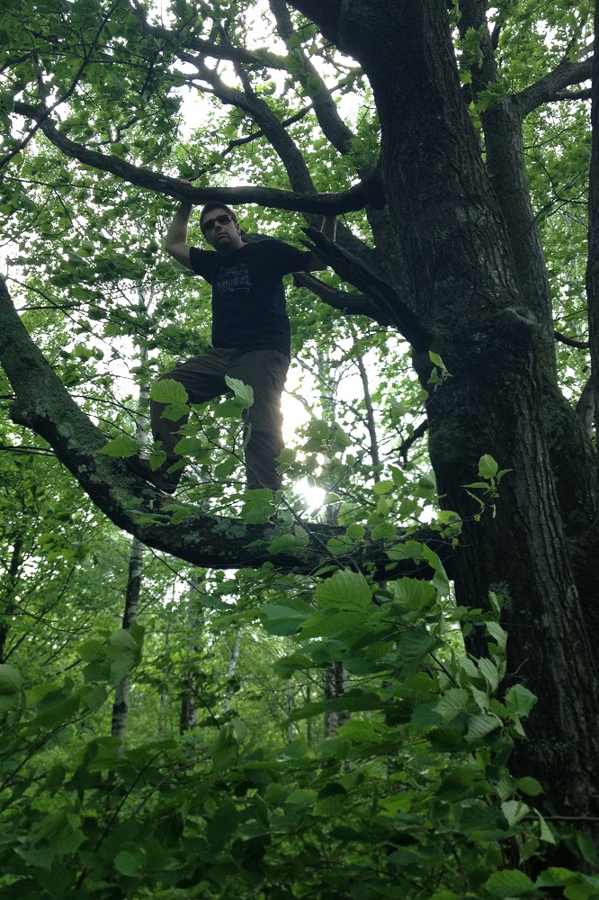 good climbing tree