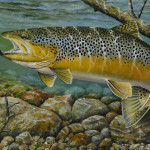 2016 Minnesota DNR Trout and Salmon Stamp