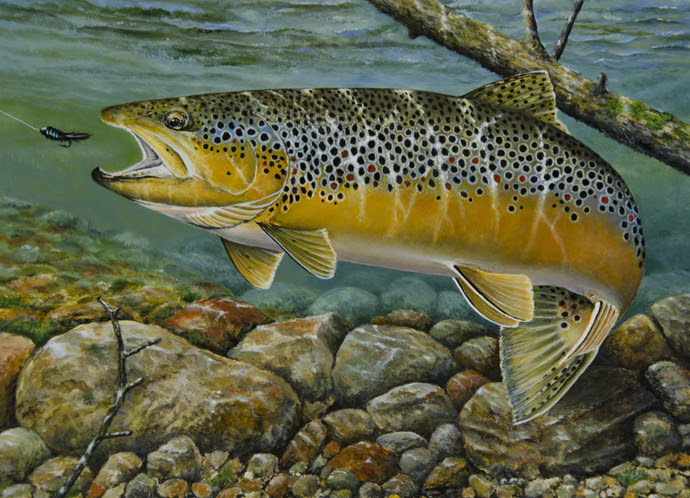 2016 Trout and Salmon Stamp Competition.  First Place:  Dean Kegler