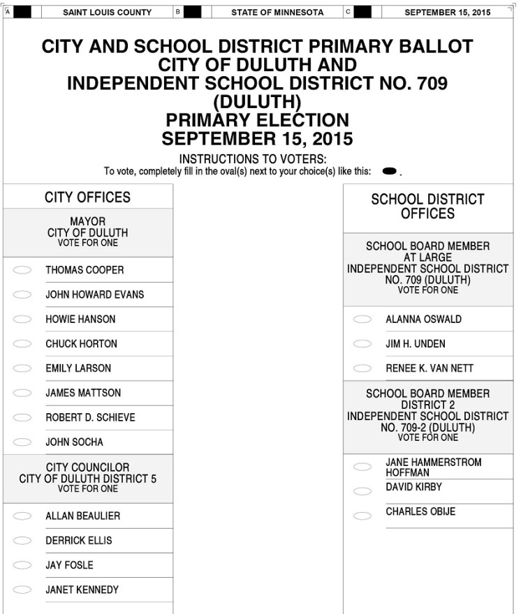 Duluth Primary Ballot 2015