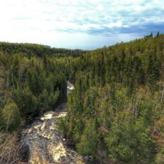 Devil's Kettle Falls Disappearing River