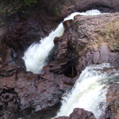Devil's Kettle Falls Disappearing River
