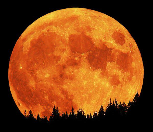 Hunters moon