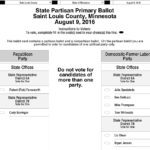 Duluth 2016 Primary Election Sample Ballot