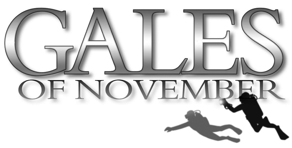Gales Logo Diver smaller
