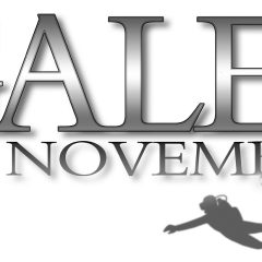 Gales Logo Diver smaller