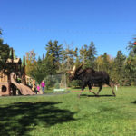 Bull Moose Party at Lester Park