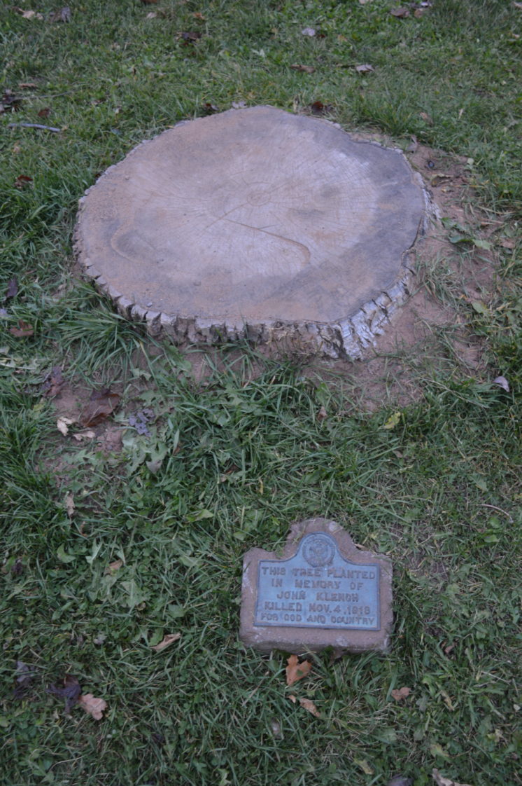 Twenty-two trees were planted along with monuments to fallen World War I soldiers in Memorial Park. Most of the trees are gone and seven identifiable plaques remain.