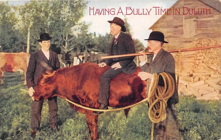 having-a-bully-time-in-duluth