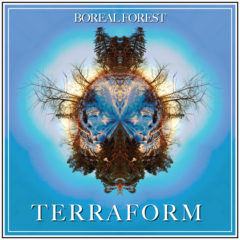 Boreal Forest - Terraform