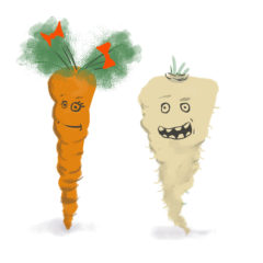 Carrot - Parsnip