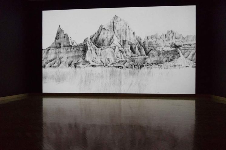 Standing Witness, site: Sage Creek, 24 min video, Animation Installation at Minneapolis Institute of Art, 2015