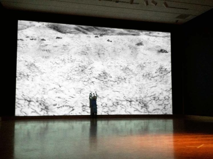 Standing Witness, site: Sage Creek, 24 min video, Animation Installation at Minneapolis Institute of Art, 2015