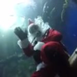 Feeding the fish with Santa