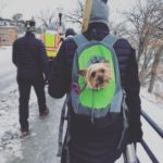 Instagrammed: Duluth Women’s March