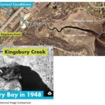 Kingsbury Bay and Grassy Point Habitat Restoration Project
