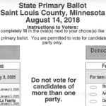 Duluth 2018 Primary Election Sample Ballot