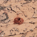 “Duluth” is a Small Drill-Hole on Mars?