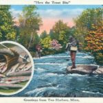 Postcard from Two Harbors, where the trout bite