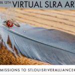 Selective Focus: St. Louis River Alliance Virtual Art Show