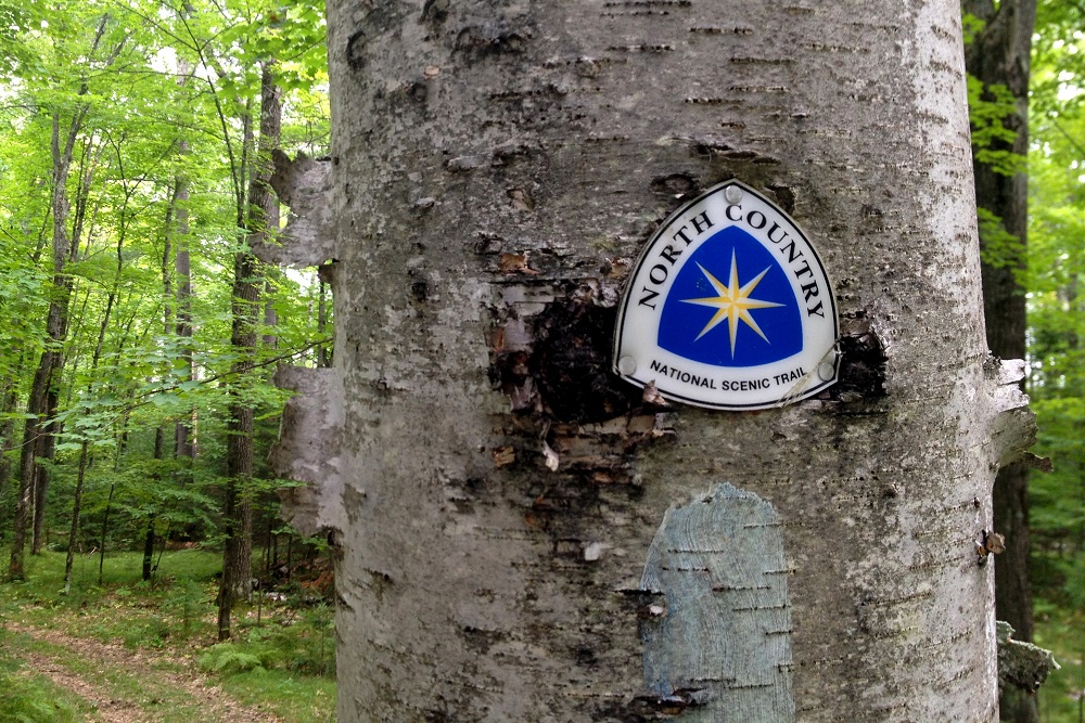North Country Trail logo on tree