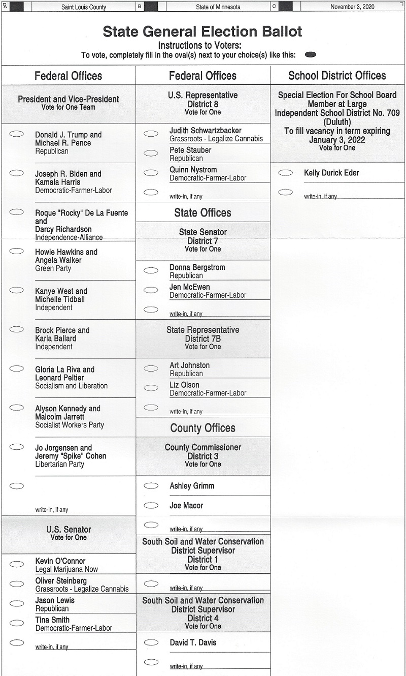 Duluth General Election Sample Ballot 2020 - Perfect Duluth Day