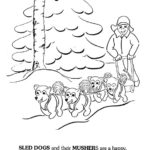 Duluth You & Me: Sled Dogs and Their Mushers