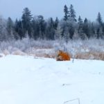 A Beaver Dam: Fall to Winter