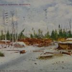 Postcard from a Typical Lumber Camp in Northern Minnesota
