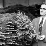Roy Halvorson: Christmas Tree King