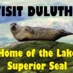 Stock Lake Superior with Seals and Orca Whales: A Modest Proposal