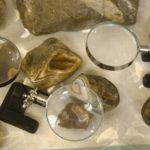Minnesota Historia: Hunting for Ancient Agates