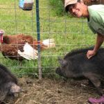 Clare Hintz finds simple pleasures at Elsewhere Farm
