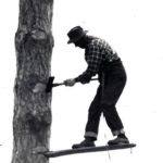 Lumberjack World Championships: Cut Above the Rest