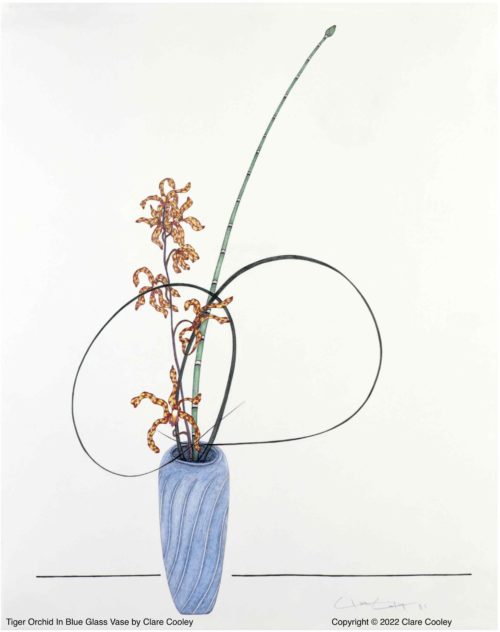 Tiger Orchid In Blue Glass Vase by Clare Cooley