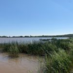 Efforts revived to assess mercury in St. Louis River watershed